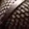 pouxhawk