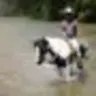 Ridinspurs