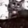 dcore64