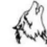 Crying Wolf