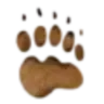 Bear R.-