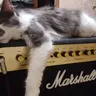 Kentuckymetal
