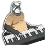 ReelRaccoon