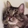 Keyscook