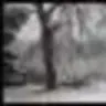 Roktuk