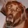 Emmitt