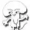 doctorfungi
