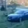 insanek9