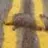 TexRoadkill