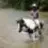 Ridinspurs