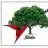 Tree Newell