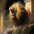 jonathon.geffen