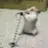 Sonic Rat