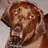 Emmitt